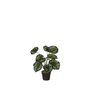 Planta artificial CALATHEA marca MYCA - Conforama