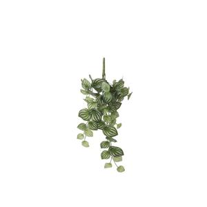 Planta artificial suspensa PEPEROMIA marca MYCA - Conforama