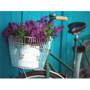 CANVAS BICYCLE FLOWERS - Conforama