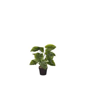 Planta artificial ALOCASIA marca MYCA - Conforama