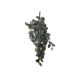 Planta artificial suspensa FITTONIA marca MYCA - Conforama